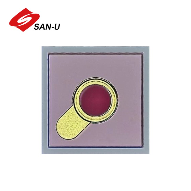 Φ80um InGaAs PD chip